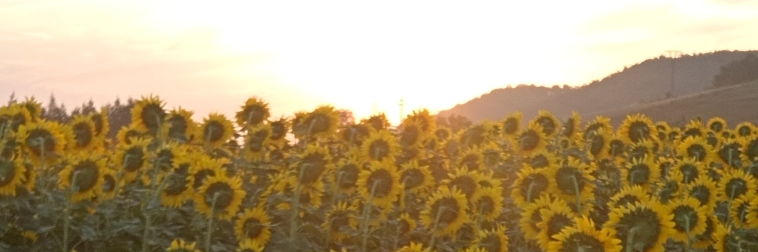 bili27_'s profile banner image