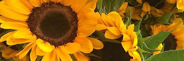 MelissPerry's profile banner image