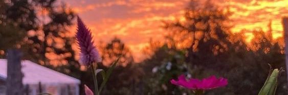 mayuhzam's profile banner image