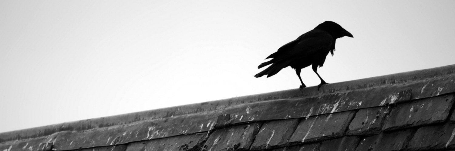 EdwaRooney's profile banner image