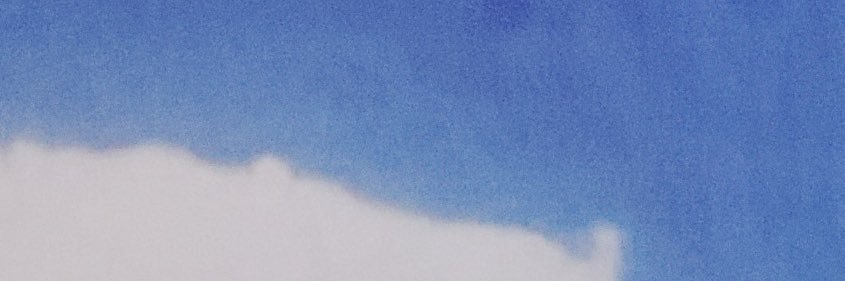 davide banner