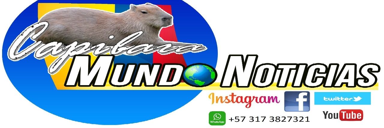 capimundonoti's profile banner image
