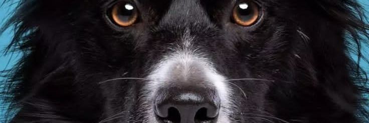 okwonkwo's profile banner image