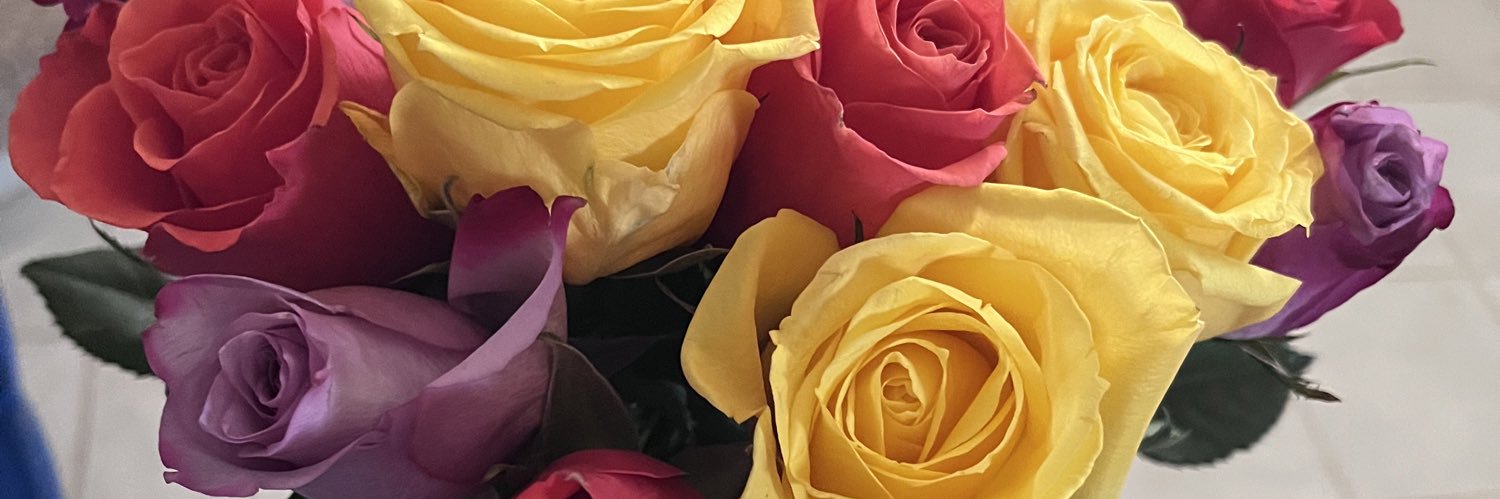 StephSwteacher's profile banner image