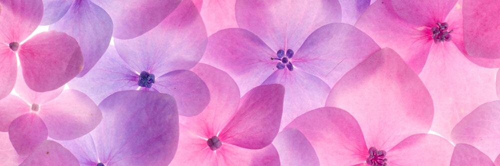 Jennifer_Hid's profile banner image
