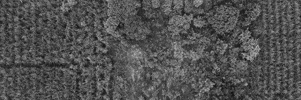 s_srivatsa Profile Banner