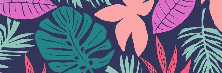 sifafy's profile banner image