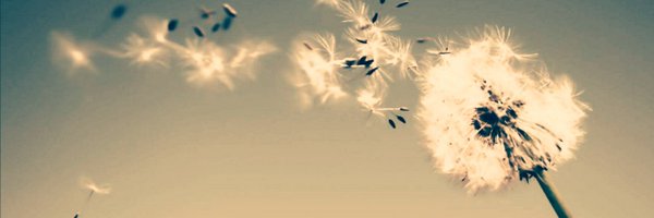 SamLeoh Profile Banner