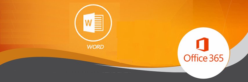 ms_word Expert banner