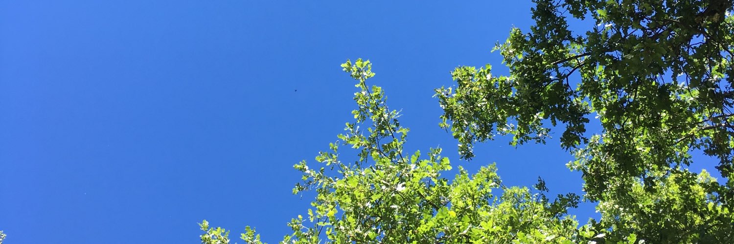 MichaelPloetz's profile banner image