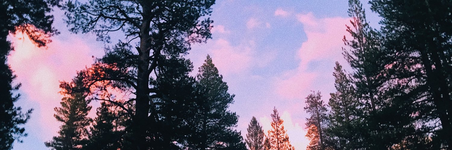LindsayyyP's profile banner image