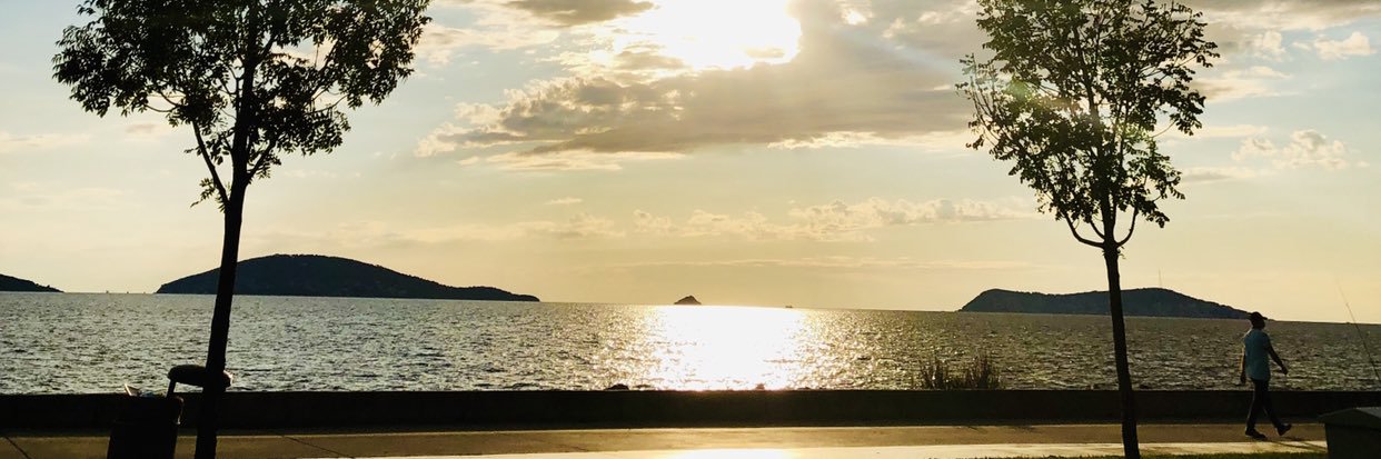 sedacortaoglu's profile banner image