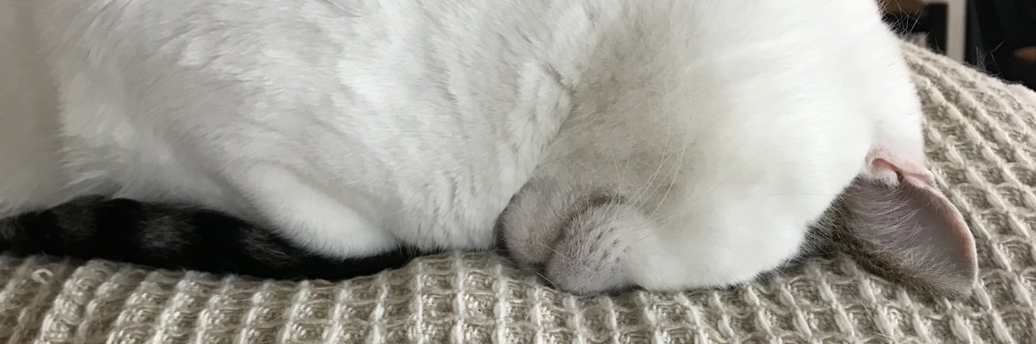BlaineLocheed's profile banner image