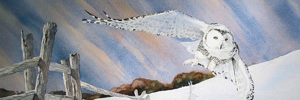 The Manitoba Law Journal banner