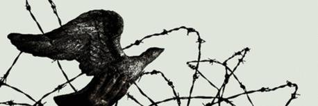 EUoutofConflict's profile banner image