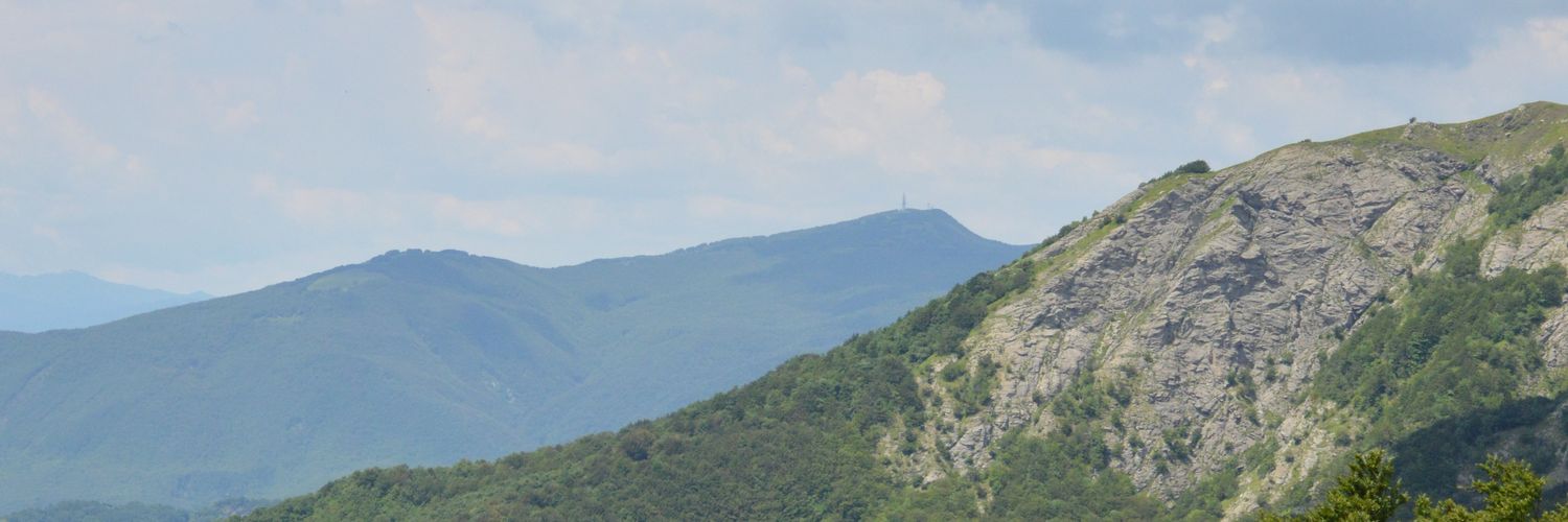 makepies's profile banner image
