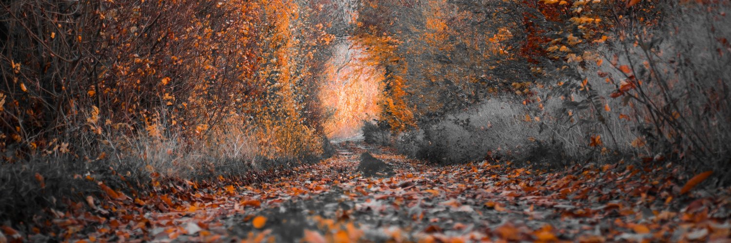 Praneeth Ravi banner