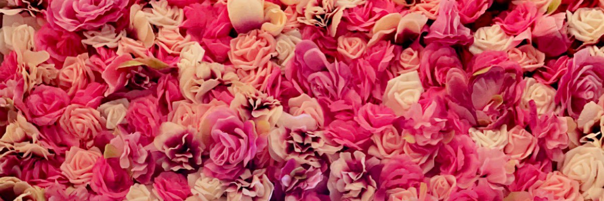 laurmccaff's profile banner image