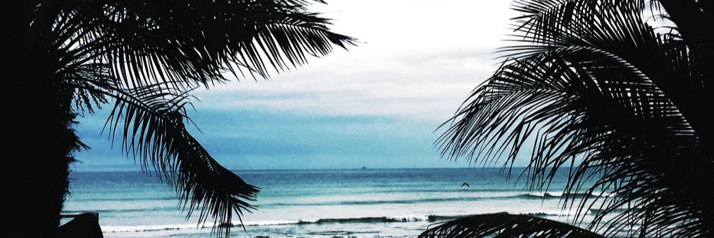 JimmyGuvvala's profile banner image