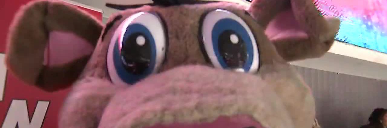 KadieBud's profile banner image