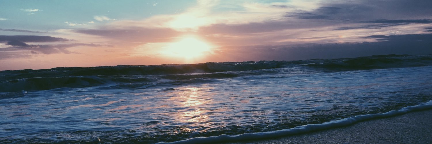 AllieFreeze's profile banner image