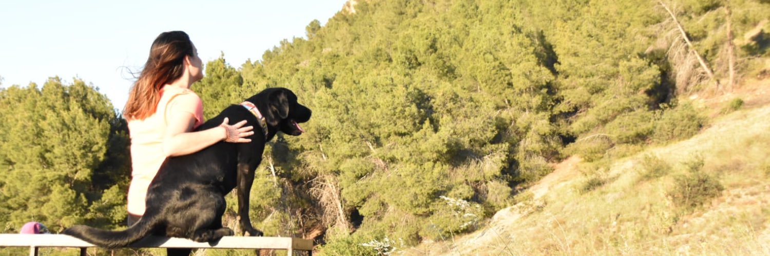 Mariel_FrSp's profile banner image