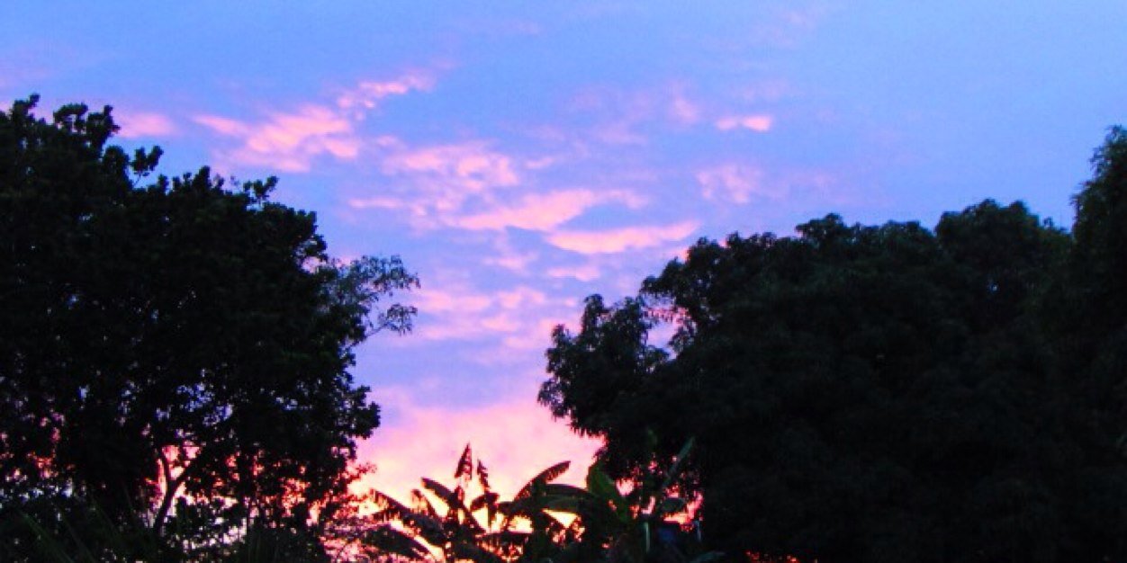 PanamaJane06's profile banner image