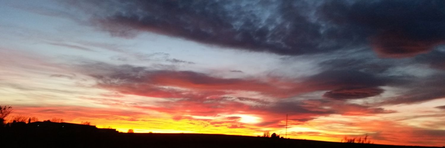 Fernando Gar C banner