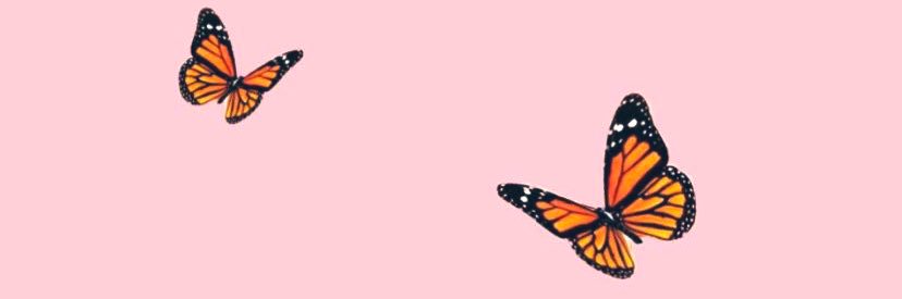 morgan_daisy47's profile banner image