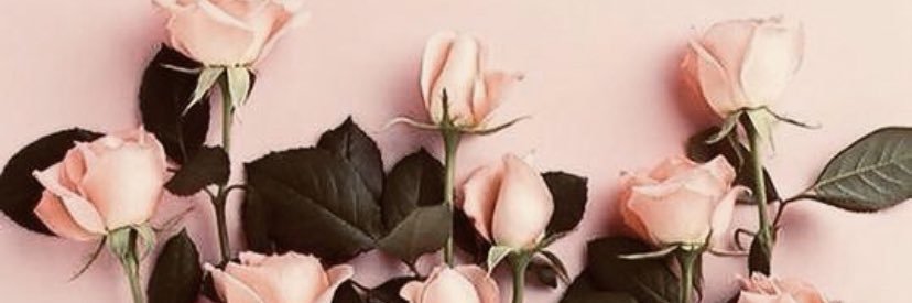 Alexandrarose4's profile banner image