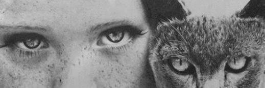 dwivany's profile banner image