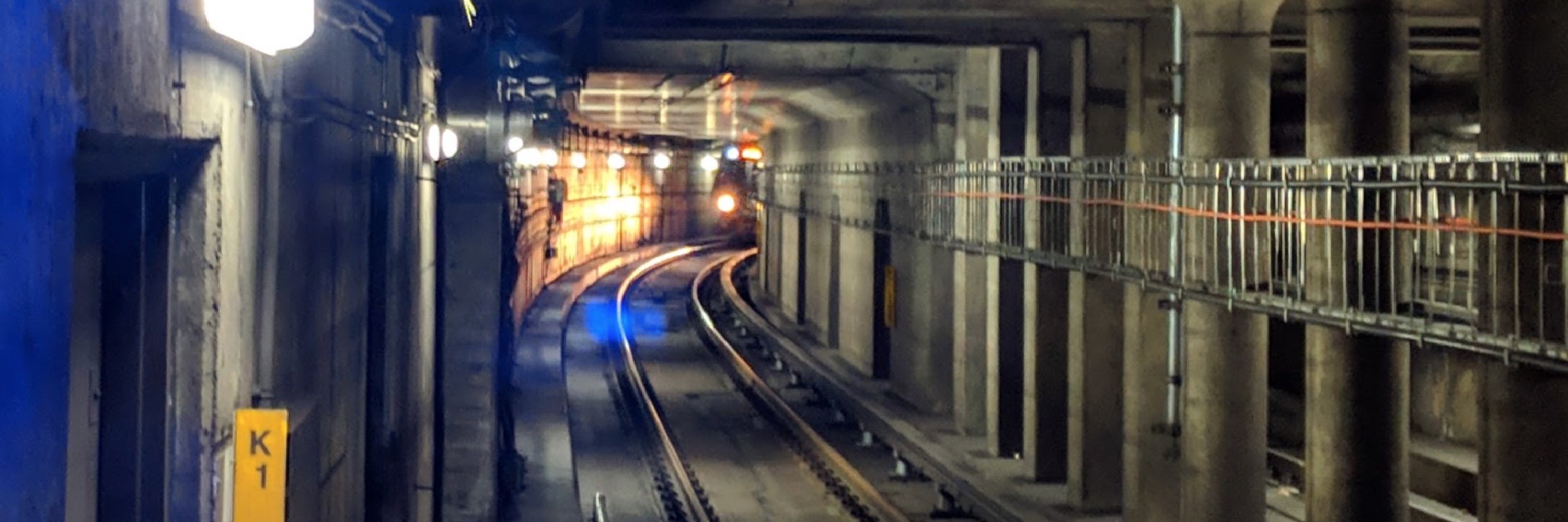 WMATA Riders' Advisory Council banner