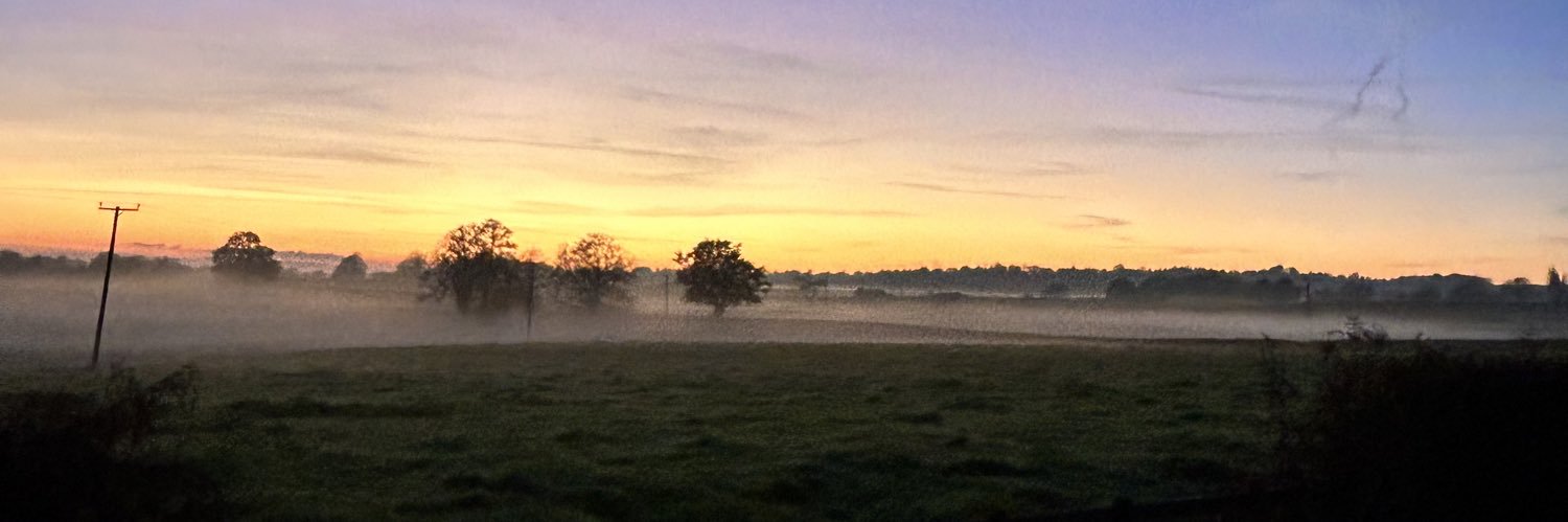 Dave Nic ❄️ banner