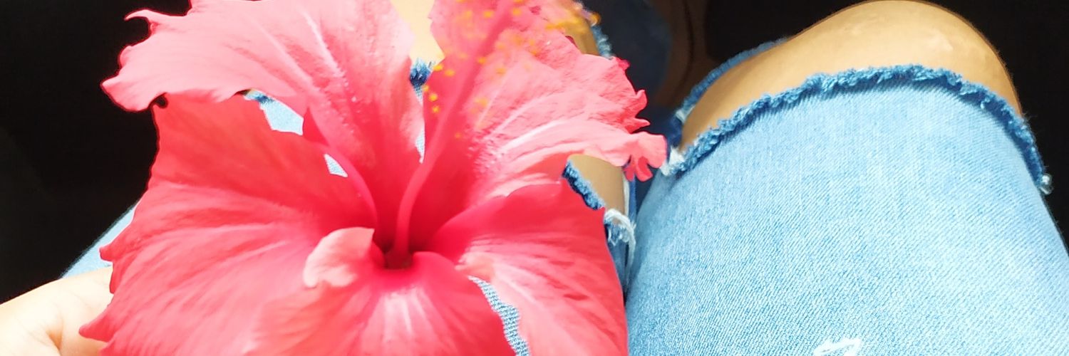 SimarahL's profile banner image
