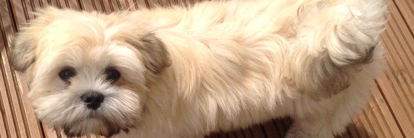 MartinShrimplin's profile banner image