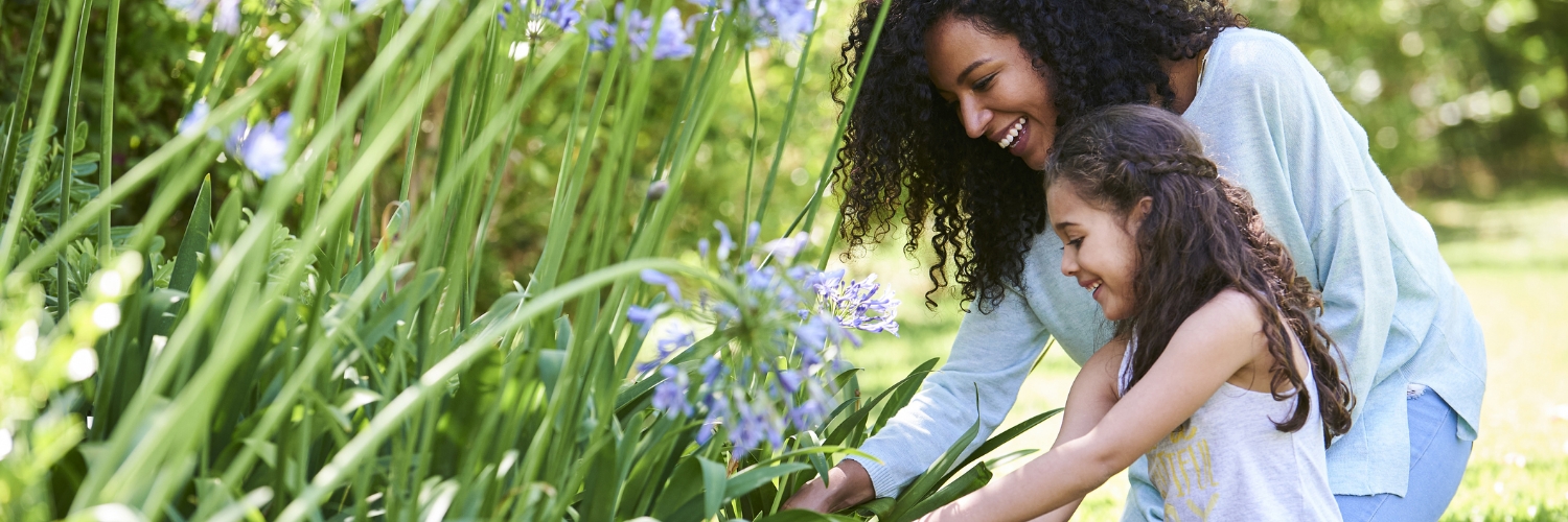 Arkansas Blue Cross and Blue Shield banner