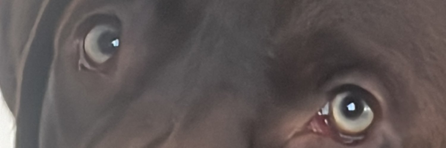 kylebryden51's profile banner image