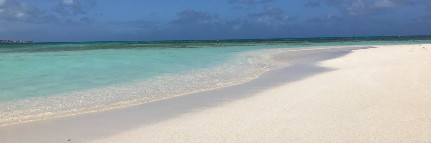 EvaCaccia's profile banner image