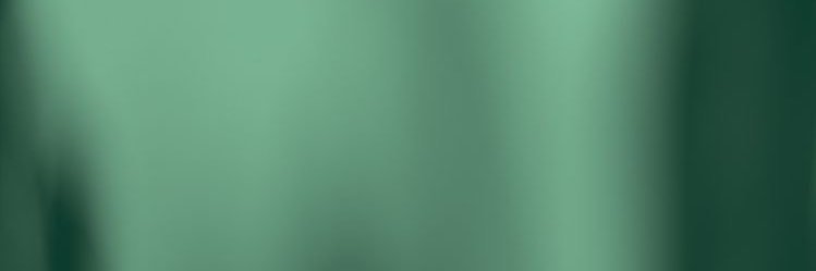 VictoriaOlvera3's profile banner image