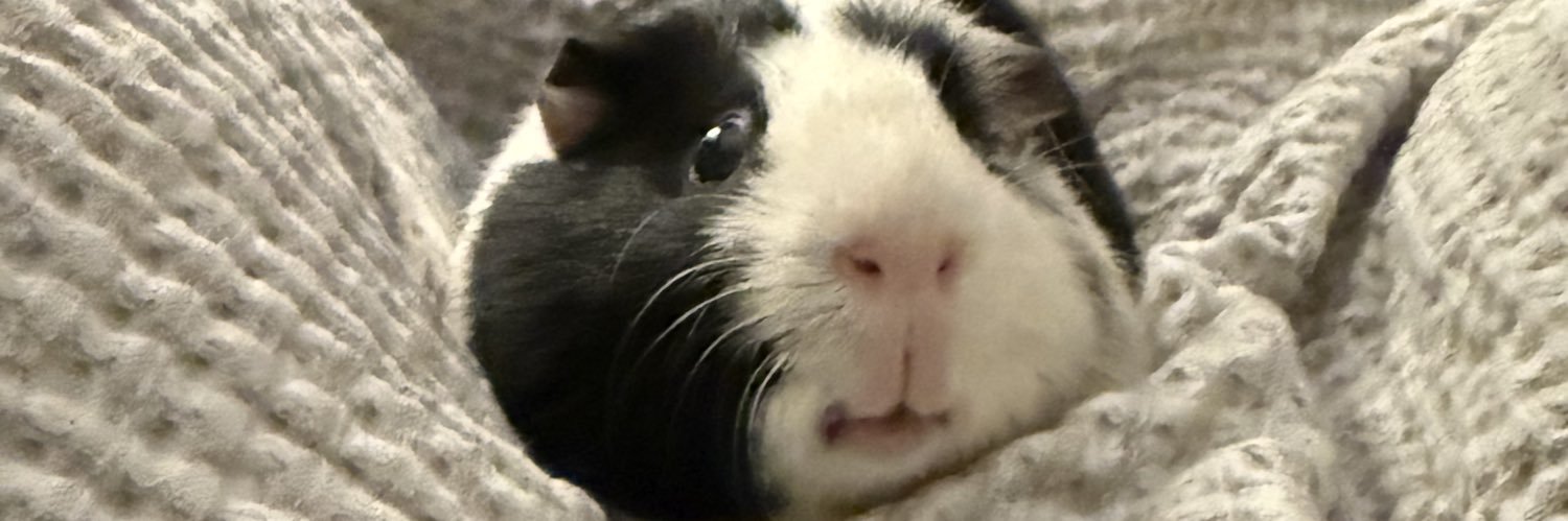 SydneyCera's profile banner image