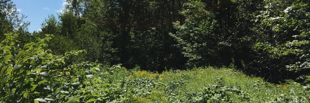 justcallmesara_'s profile banner image