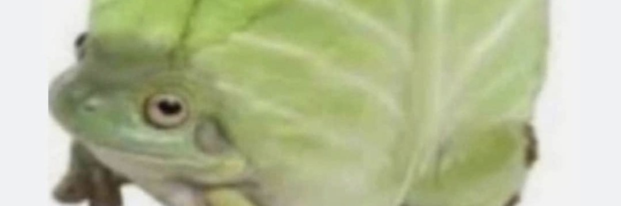 MrGingerRock's profile banner image