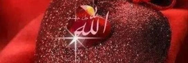 SoukainaAliAlao's profile banner image