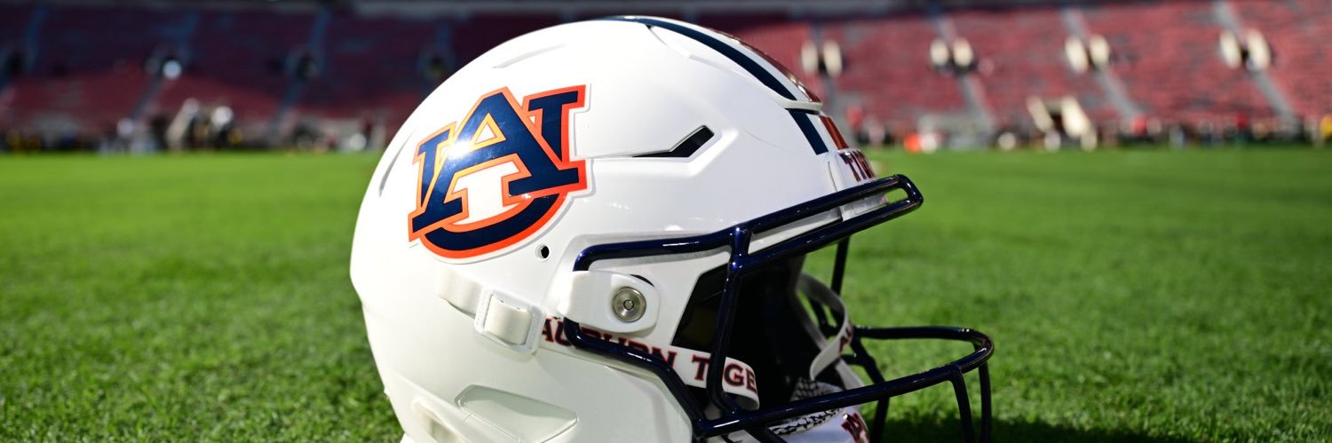 theCoachMims's profile banner image