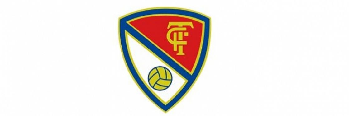 Javi banner