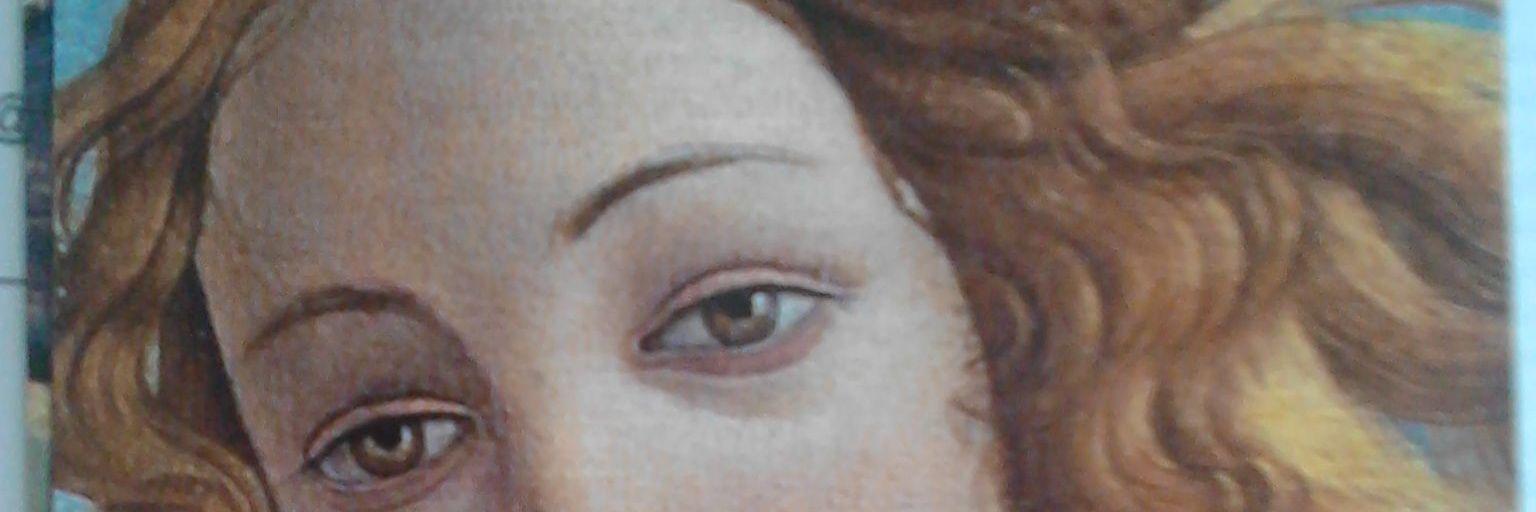 romulus333's profile banner image
