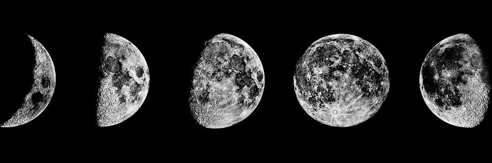 Moon_Lizzy's profile banner image