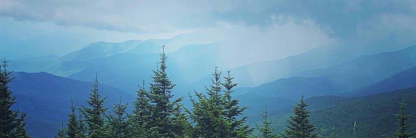 ohgeeparty's profile banner image