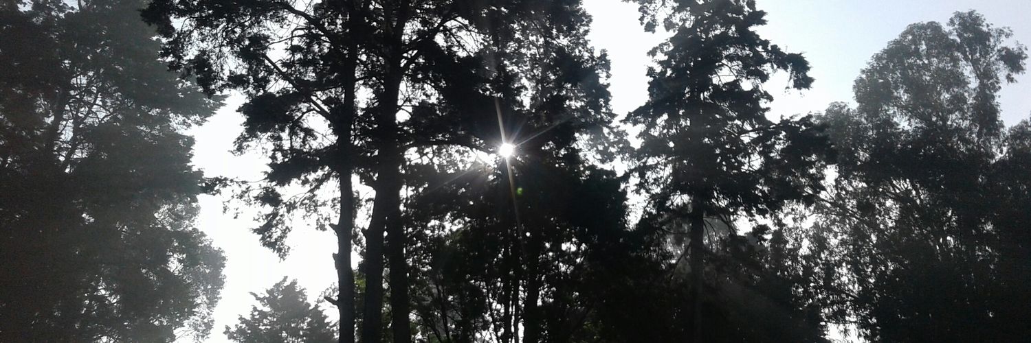Stewart_Ola's profile banner image