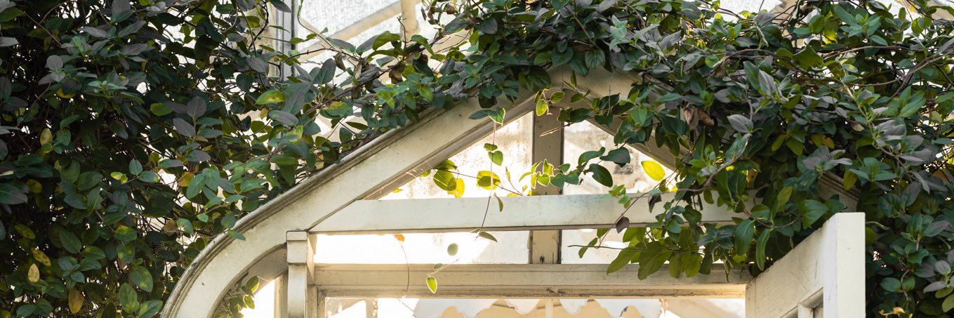 Joanna Gaines's banner